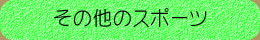 ���̑��̃X�|�[�c